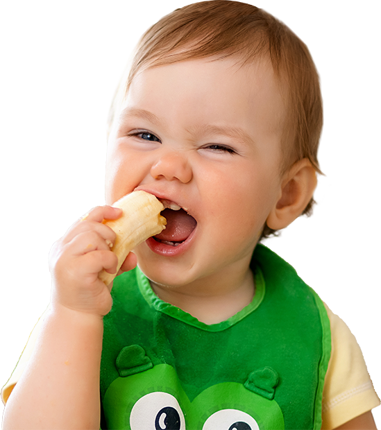 rèche nourriture Bio